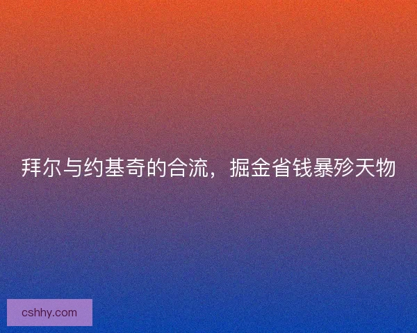 拜尔与约基奇的合流，掘金省钱暴殄天物
