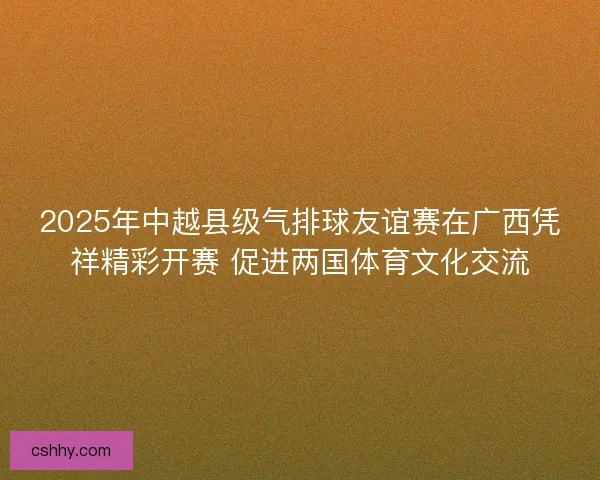 2025年中越县级气排球友谊赛在广西凭祥精彩开赛 促进两国体育文化交流